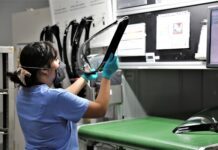Guanajuato en el Top5 de entidades que más empleo formal genera