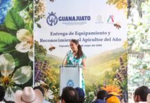 Premia Guanajuato al apicultor del año
