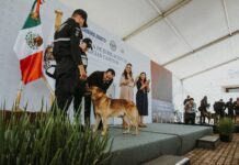 Se jubilan 10 caninos del escuadrón K9 en Guanajuato
