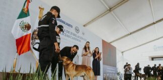 Se jubilan 10 caninos del escuadrón K9 en Guanajuato