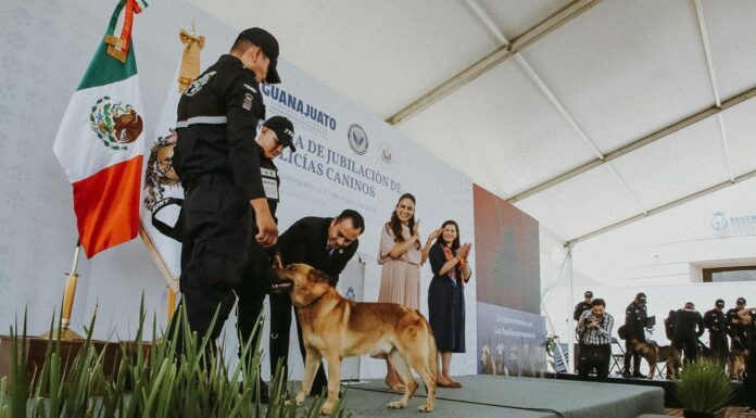 Se jubilan 10 caninos del escuadrón K9 en Guanajuato