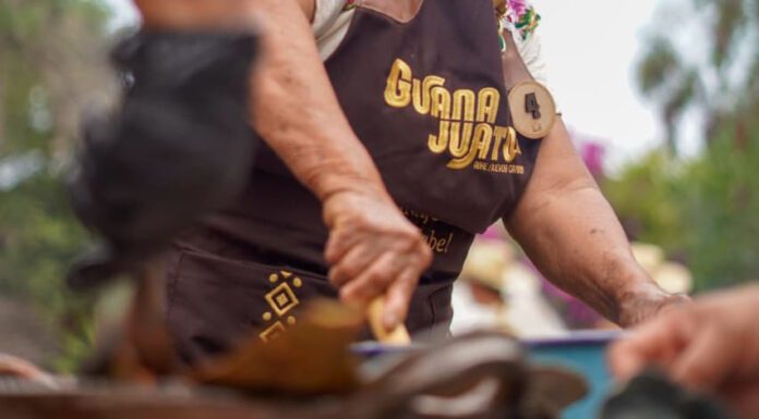 Cocineras de 12 municipios a la preeliminar de ¡Guanajuato Sí Sabe!