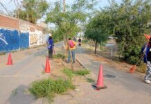 Dan manita de león al Parque Lineal el Sardaneta
