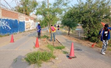 Dan manita de león al Parque Lineal el Sardaneta