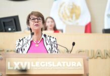 Gobierno federal debe garantizar abasto de medicinas: Angélica Casillas