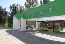Pulmones de identidad: Chapalita y el renacer verde de León