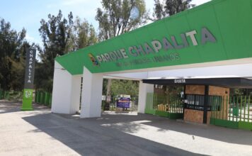 Pulmones de identidad: Chapalita y el renacer verde de León