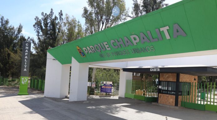 Pulmones de identidad: Chapalita y el renacer verde de León