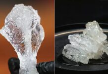 ¿Comida o joyas? El pollo frito de “cristal”que confunde a Internet