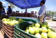 Cooperativas suman más de 1.2 millones de socios en Guanajuato
