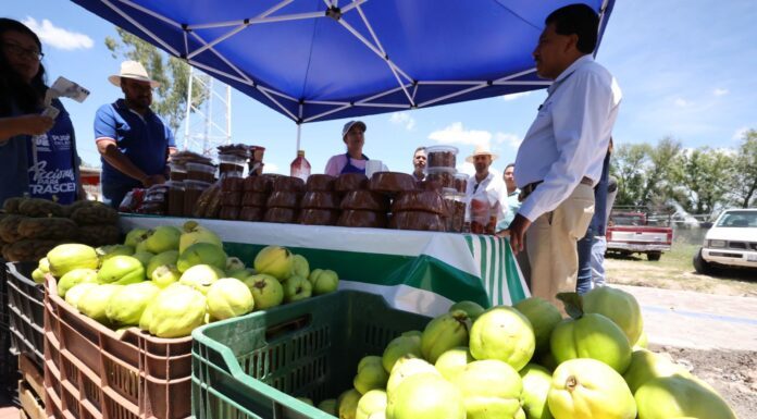 Cooperativas suman más de 1.2 millones de socios en Guanajuato