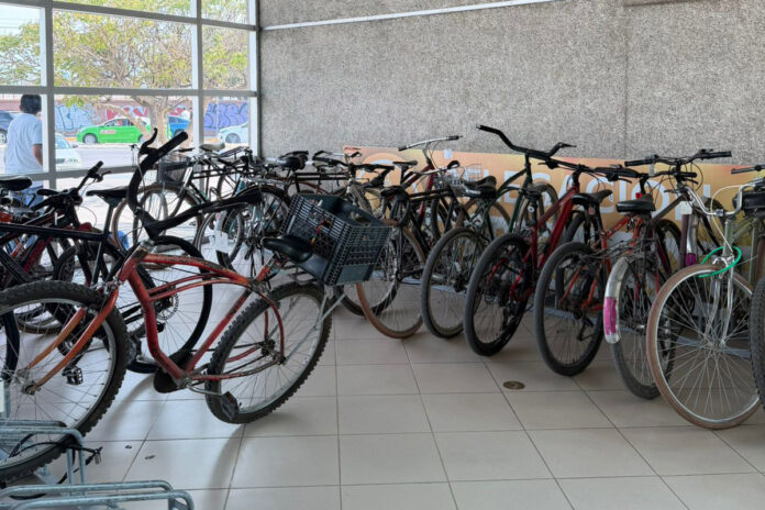 bicis