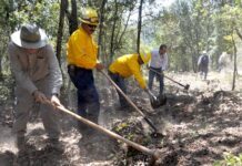 Realizan jornada para la prevención de incendios forestales
