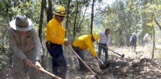 Realizan jornada para la prevención de incendios forestales