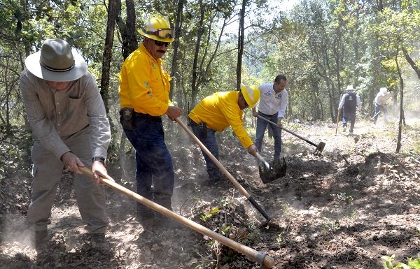 Realizan jornada para la prevención de incendios forestales