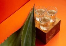 Comonfort, Dolores Hidalgo, San José Iturbide y Tierra Blanca son tierra de mezcal