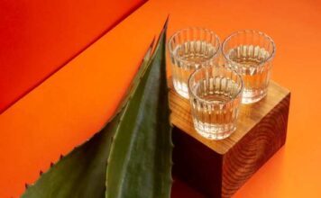Comonfort, Dolores Hidalgo, San José Iturbide y Tierra Blanca son tierra de mezcal