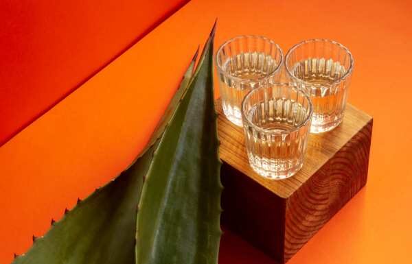 Comonfort, Dolores Hidalgo, San José Iturbide y Tierra Blanca son tierra de mezcal
