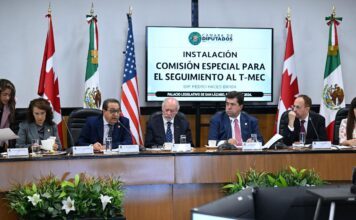 Miguel Salim integrará Comisión Especial de Seguimiento al T-MEC