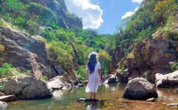 Guanajuato fortalece su posicionamiento en turismo de naturaleza y aventura