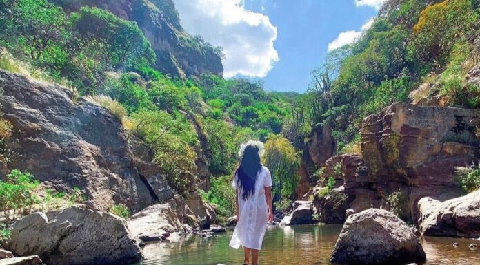 Guanajuato fortalece su posicionamiento en turismo de naturaleza y aventura