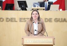 Transparencia no es un ejercicio selectivo: Rocío Cervantes