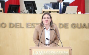 Transparencia no es un ejercicio selectivo: Rocío Cervantes