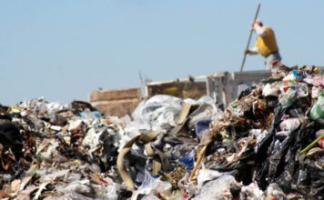 El milagro de León: de un mar de basura a galardón mundial por sustentabilidad