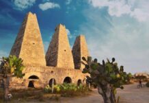 SECTURI participa en foro por un turismo sustentable para Guanajuato