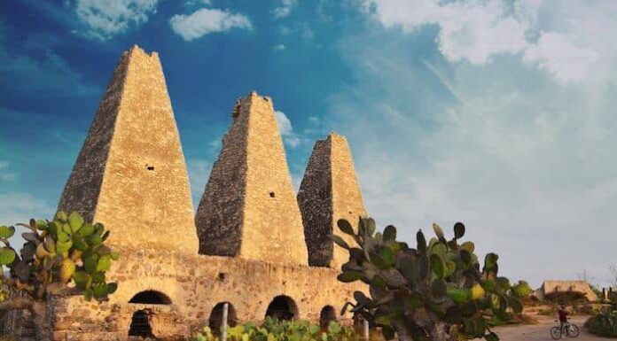 SECTURI participa en foro por un turismo sustentable para Guanajuato