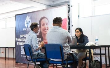 Guanajuato promueve a empresas locales como proveedoras de consorcio japonés