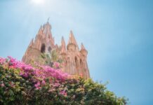 San Miguel de Allende en la cima del mundo: La visión global de Mauricio Trejo que conquista a los gigantes de Iberoamérica