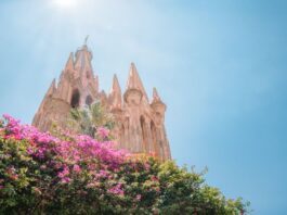 San Miguel de Allende en la cima del mundo: La visión global de Mauricio Trejo que conquista a los gigantes de Iberoamérica