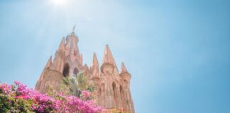 San Miguel de Allende en la cima del mundo: La visión global de Mauricio Trejo que conquista a los gigantes de Iberoamérica