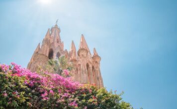 San Miguel de Allende en la cima del mundo: La visión global de Mauricio Trejo que conquista a los gigantes de Iberoamérica