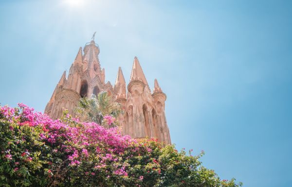 San Miguel de Allende en la cima del mundo: La visión global de Mauricio Trejo que conquista a los gigantes de Iberoamérica