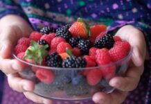 Oro rojo del Bajío: Guanajuato se consolida como gigante en exportación de berries