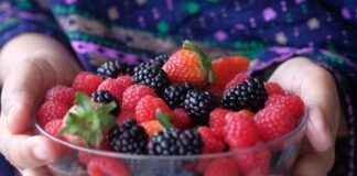 Oro rojo del Bajío: Guanajuato se consolida como gigante en exportación de berries