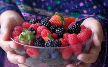 Oro rojo del Bajío: Guanajuato se consolida como gigante en exportación de berries
