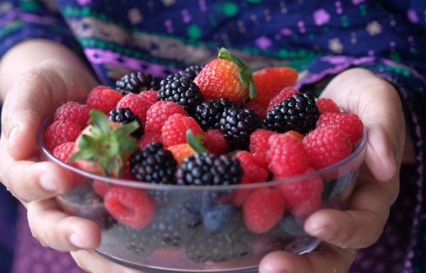 Oro rojo del Bajío: Guanajuato se consolida como gigante en exportación de berries