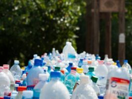 Adiós al “usar y tirar”: Proponen ley en Guanajuato para que la basura se convierta en negocio y empleo