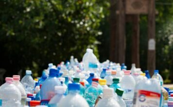 Adiós al “usar y tirar”: Proponen ley en Guanajuato para que la basura se convierta en negocio y empleo