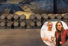 Viñedo San Miguel recibe reconocimiento como La Mejor Bodega del Año