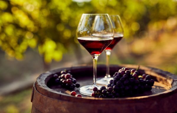 Guanajuato en una copa: la revolución vitivinícola que seduce al mundo