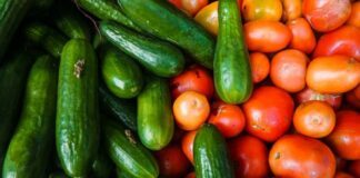 Precio del jitomate golpea al bolsillo de las familias mexicanas