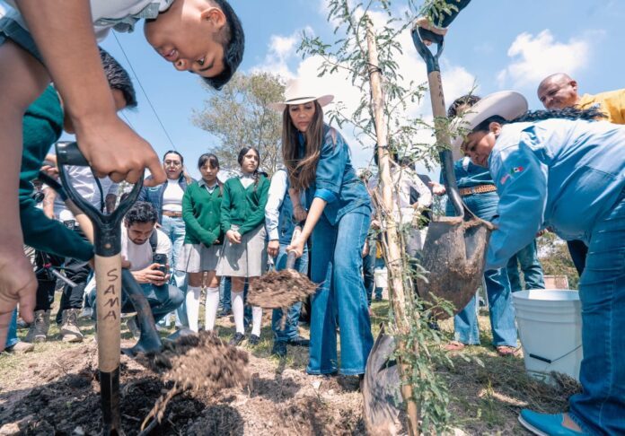 Jornada de Reforestación en el Marco del Día Mundial del Árbol (4)