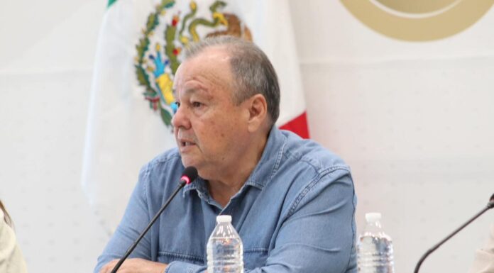 El 60% de iniciativas para fortalecer a indígenasa y afrodescendientes son de MORENA