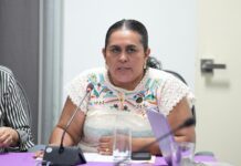 Diputados del PAN buscan crear Ley para Mujeres Jefas de Familia