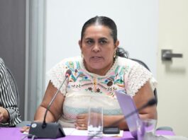 Diputados del PAN buscan crear Ley para Mujeres Jefas de Familia