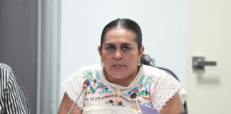 Diputados del PAN buscan crear Ley para Mujeres Jefas de Familia